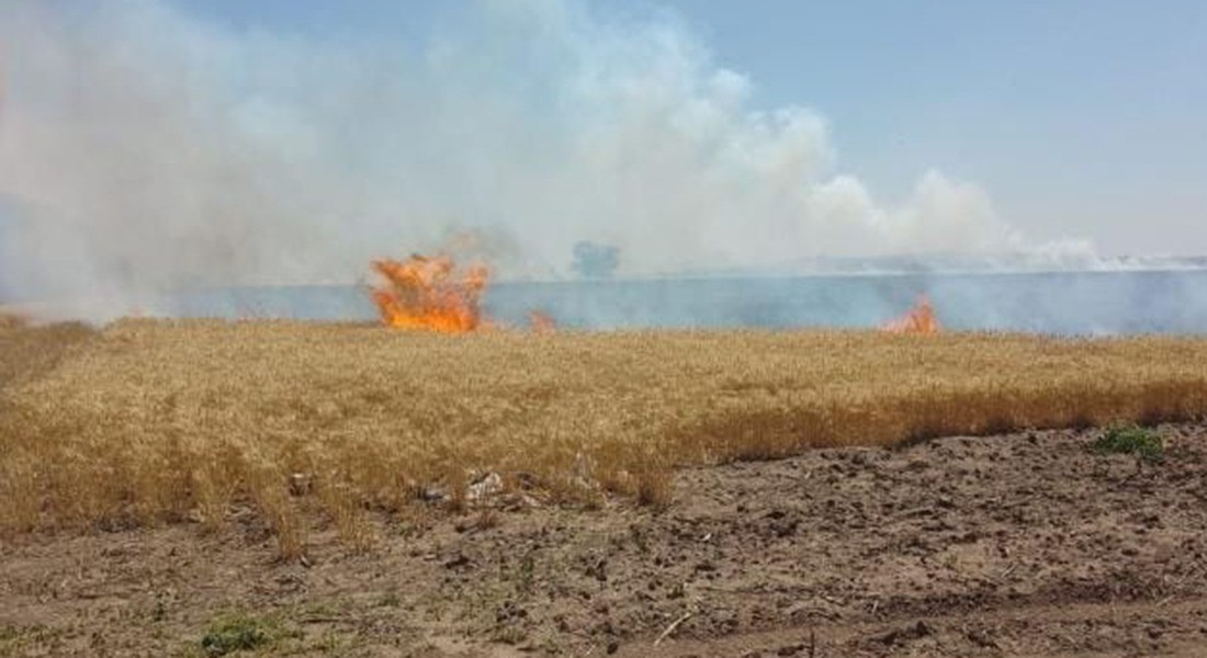 Ardieron 45 hectáreas de trigo en las afueras de Rosario | Actualidad