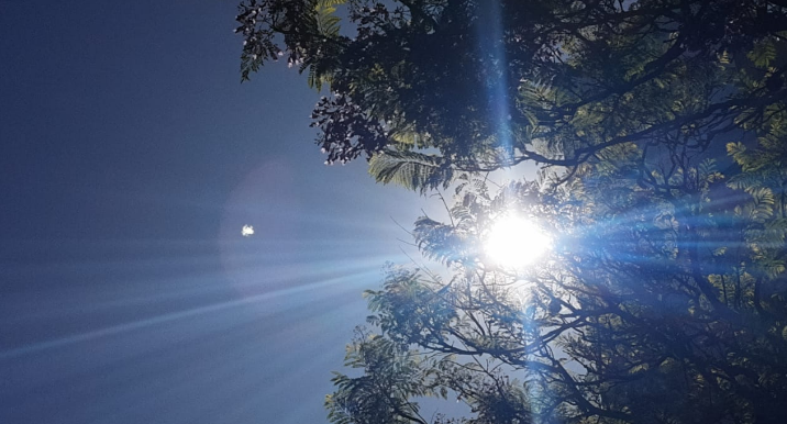 Alerta amarilla por altas temperaturas, máxima de 39° | Córdoba