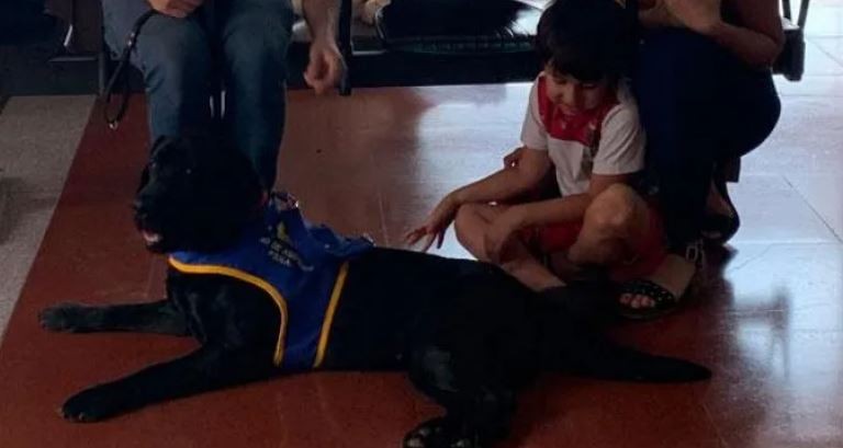 Entregaron perros de asistencia a adultos y niños con autismo | Actualidad