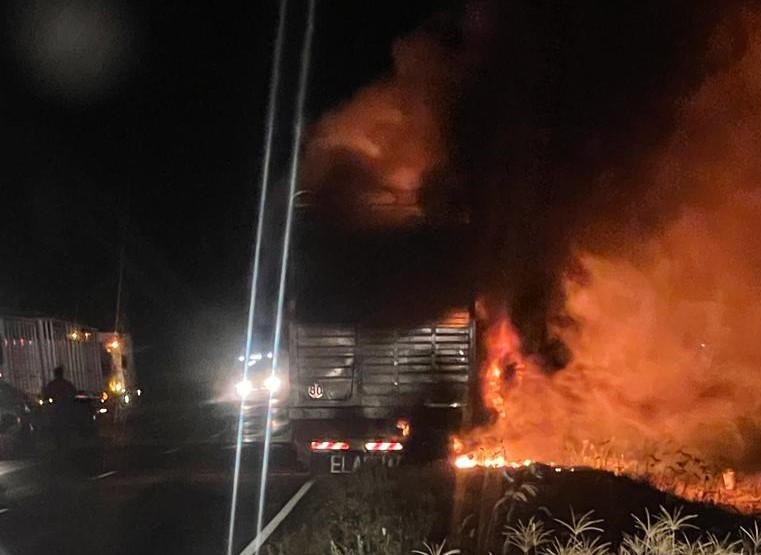 Se incendió un camión que trasladaba ganado | Actualidad