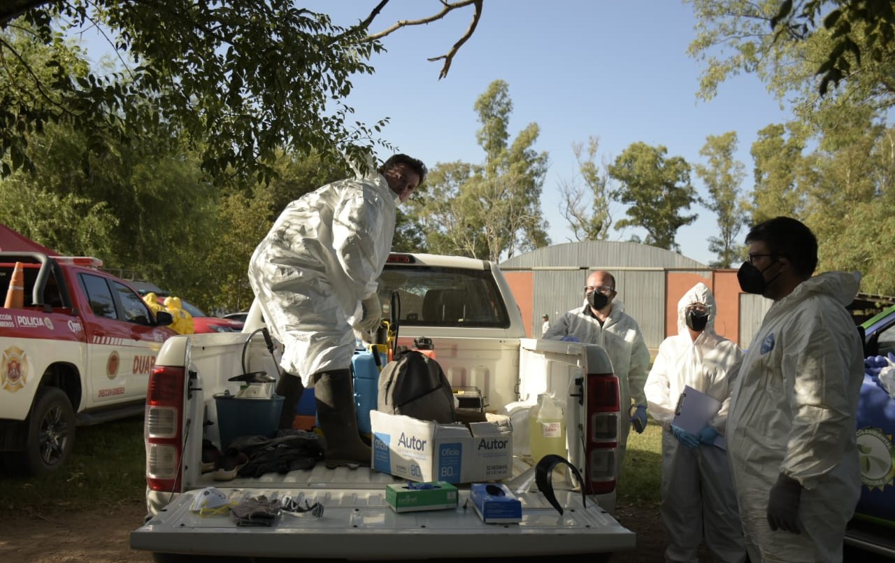 Se detectaron 4 nuevos casos de Influenza Aviar en Córdoba | Córdoba