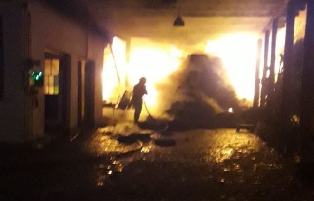 Murieron ocho caballos calcinados tras quedar atrapados en un incendio en La Plata | Actualidad