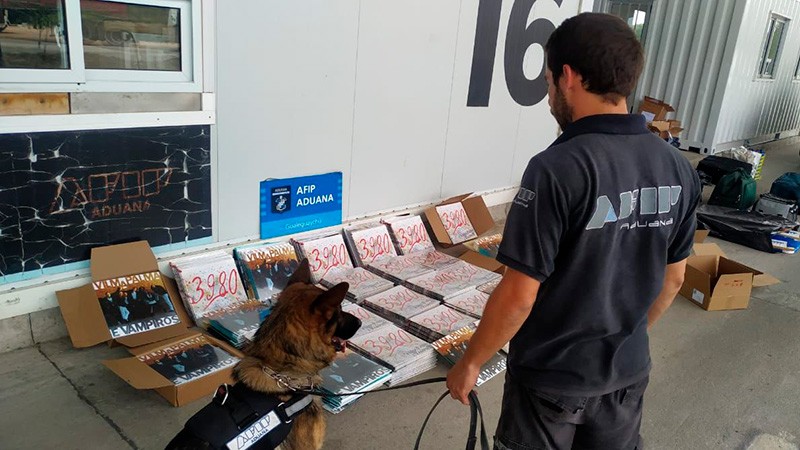 La Aduana incautó 483 vinilos de Vilma Palma e Vampiros valuados en $5 millones | Actualidad