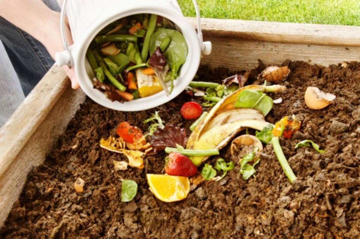 Abrió la inscripción a curso gratuito de compostaje domiciliario | Curiosidades