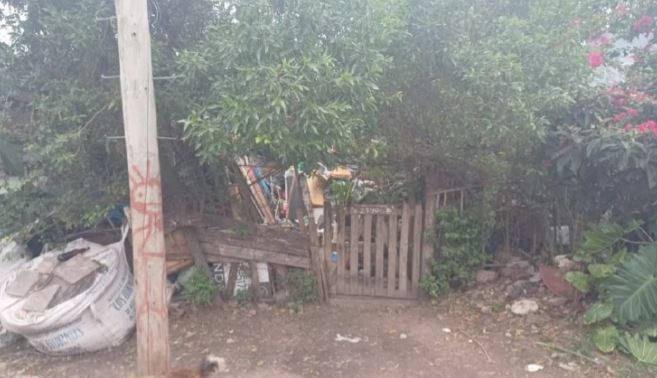 La Plata: se cortó el cuello con un bisturí cuando iban a detenerlo por abuso sexual contra su sobrina | Actualidad