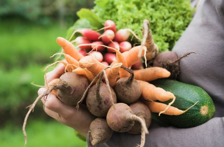 Último día para inscribirse en el programa La Huerta en tu Hogar | Córdoba