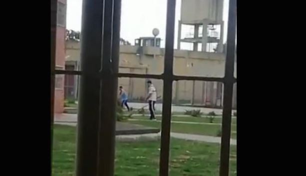 El difícil momento de los rugbiers que mataron a Fernando Báez Sosa mientras cortaban el pasto en el penal de Melchor Romero | Actualidad