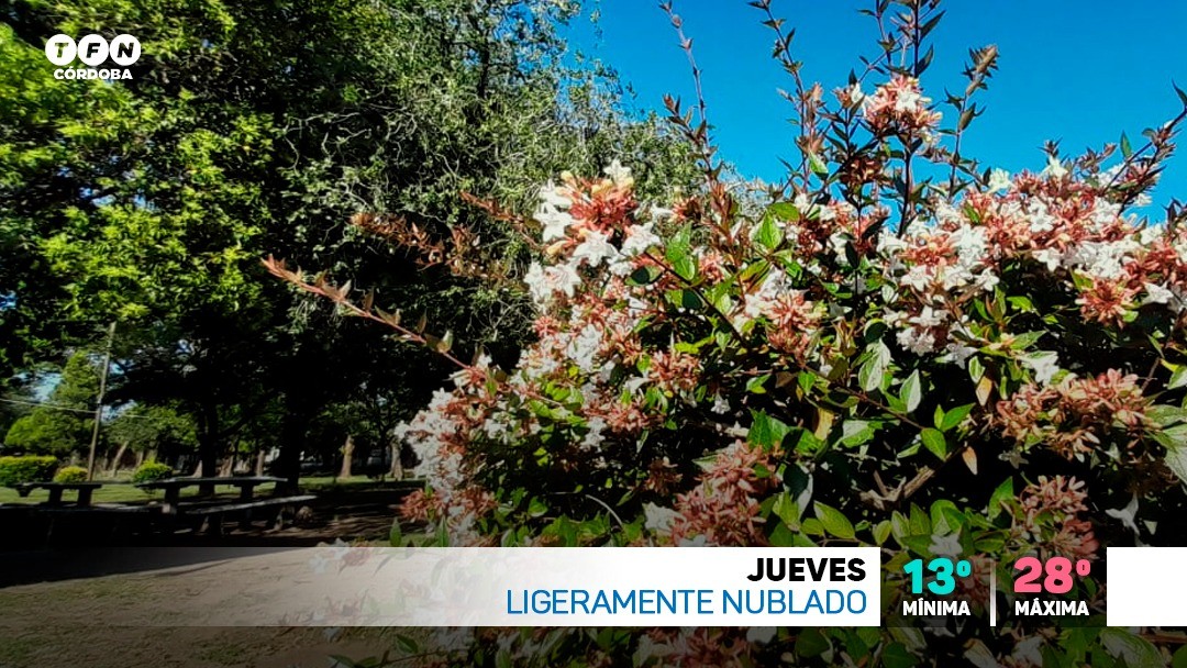 Se espera para hoy jueves una jornada cálida y agradable | Córdoba