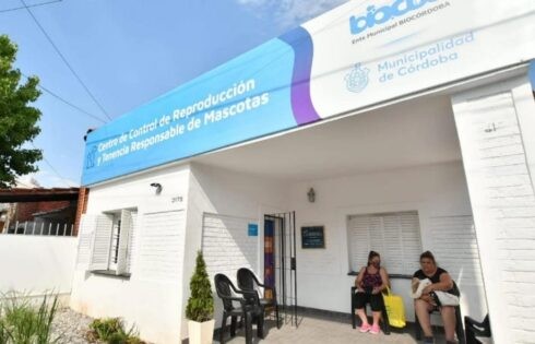 Los centros municipales de castraciones siguen entregando turnos | Córdoba