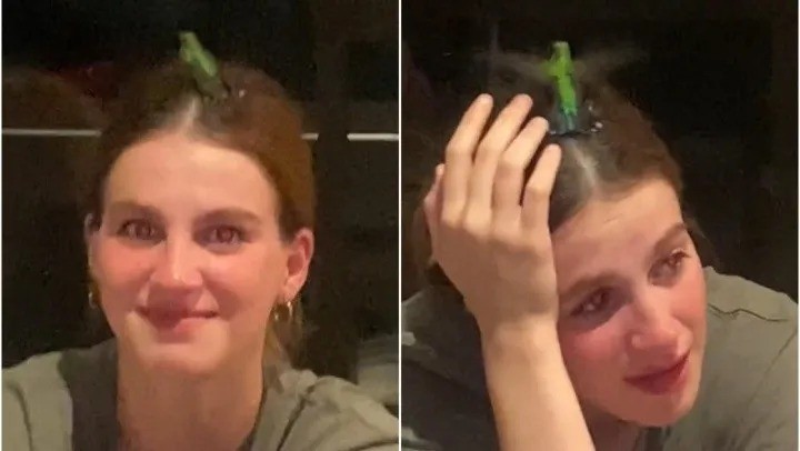Un colibrí se posó sobre su cabeza y todo fue emoción: “Gracias por volver” | Internacionales