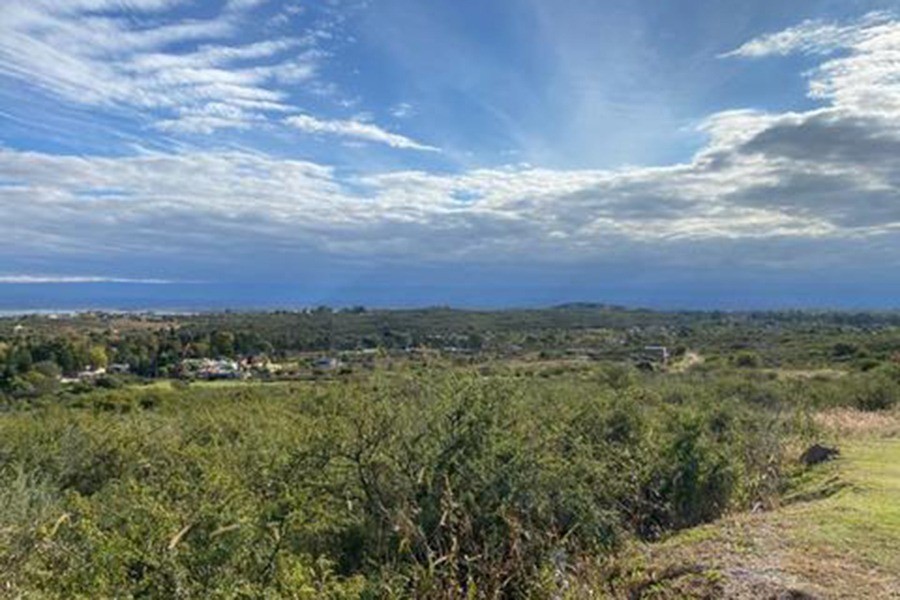 Doce detenidos por estafas con terrenos en el departamento Calamuchita | Córdoba