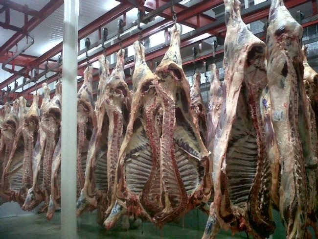 Ladrones se tirotearon con la policía en un intento de robo a frigorífico de Rio Cuarto | Córdoba