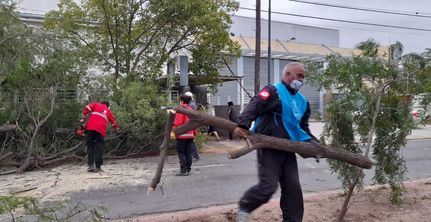 Córdoba registró caída de árboles, cables y cartelería por los fuertes vientos | Córdoba