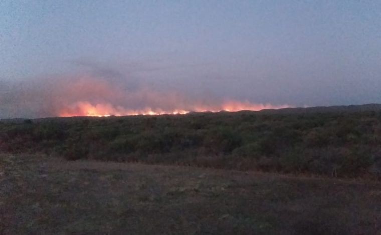 Fuego en la provincia: Sigue el combate contra un incendio forestal en el norte iniciado por un rayo | Córdoba