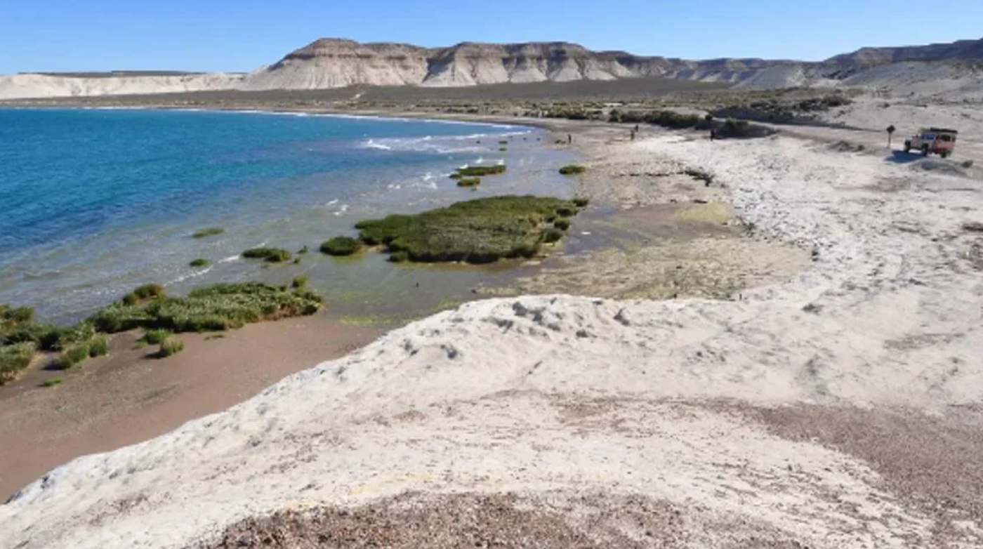 Disfrutaban un día de playa y hallaron restos óseos en bolsas | Actualidad