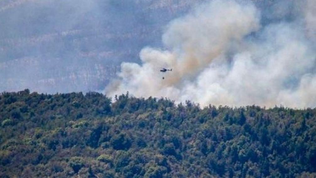 Chubut le pidió colaboración al FBI para investigar los incendios en el parque nacional Los Alerces | Actualidad