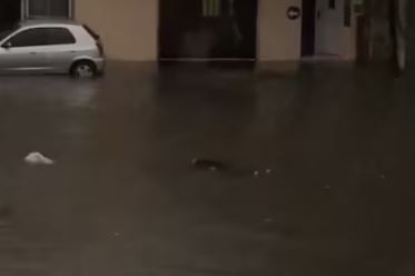 El fuerte temporal ya dejó una víctima fatal en Valentín Alsina | Actualidad