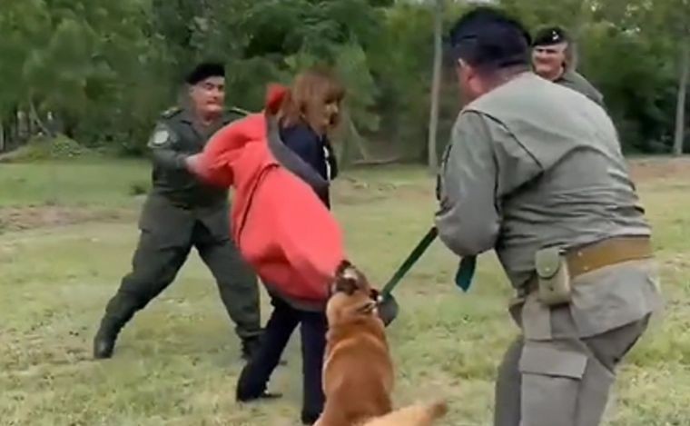 Patricia Bullrich es atacada por un perro de seguridad en demostración de Gendarmería | Actualidad