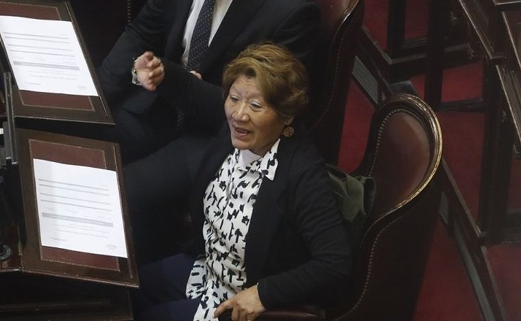 Una senadora libertaria contrató a sus tres hijos y a otros ocho familiares | Actualidad