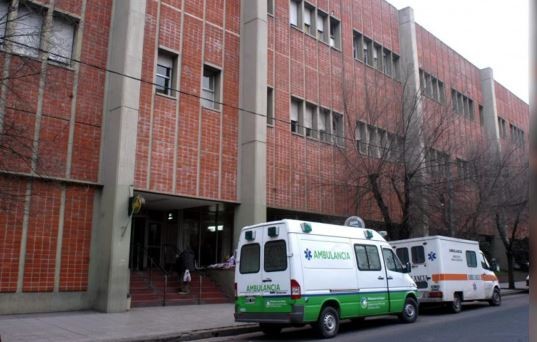 Un pitbull cruza con dogo atacó a un niño de 2 años y le causó graves lesiones | Actualidad