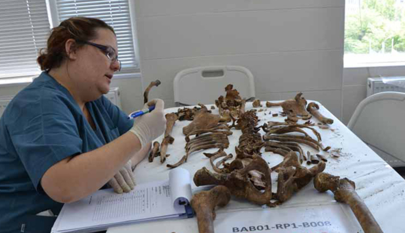 Lanzan una campaña para identificar más de 600 cuerpos de víctimas de la dictadura | Actualidad