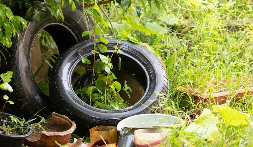 Córdoba: cómo sigue el cronograma de fumigación y descacharrado este miércoles | Córdoba