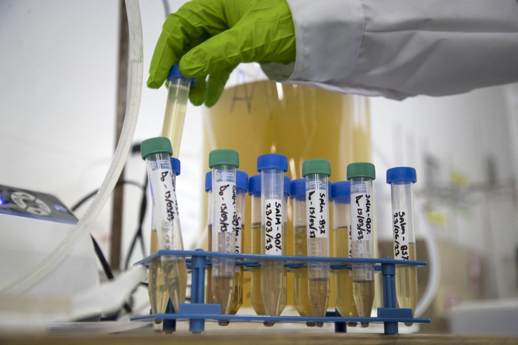 La orina humana como alternativa para crear fertilizantes | Actualidad