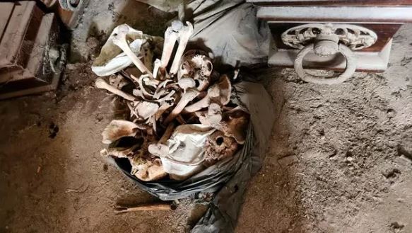 Identificaron a 150 cadáveres que estaban abandonados en el Cementerio de La Plata | Actualidad