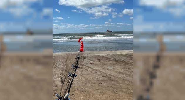 Google: el cable submarino Firmina llegó a la Argentina | Actualidad