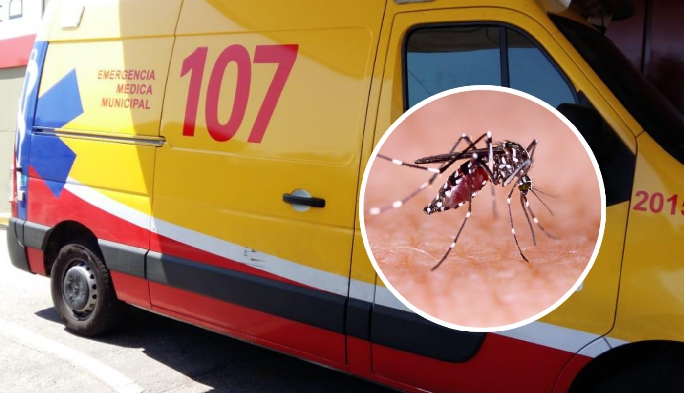 Dengue: investigan la muerte de una joven y un hombre en Córdoba | Córdoba