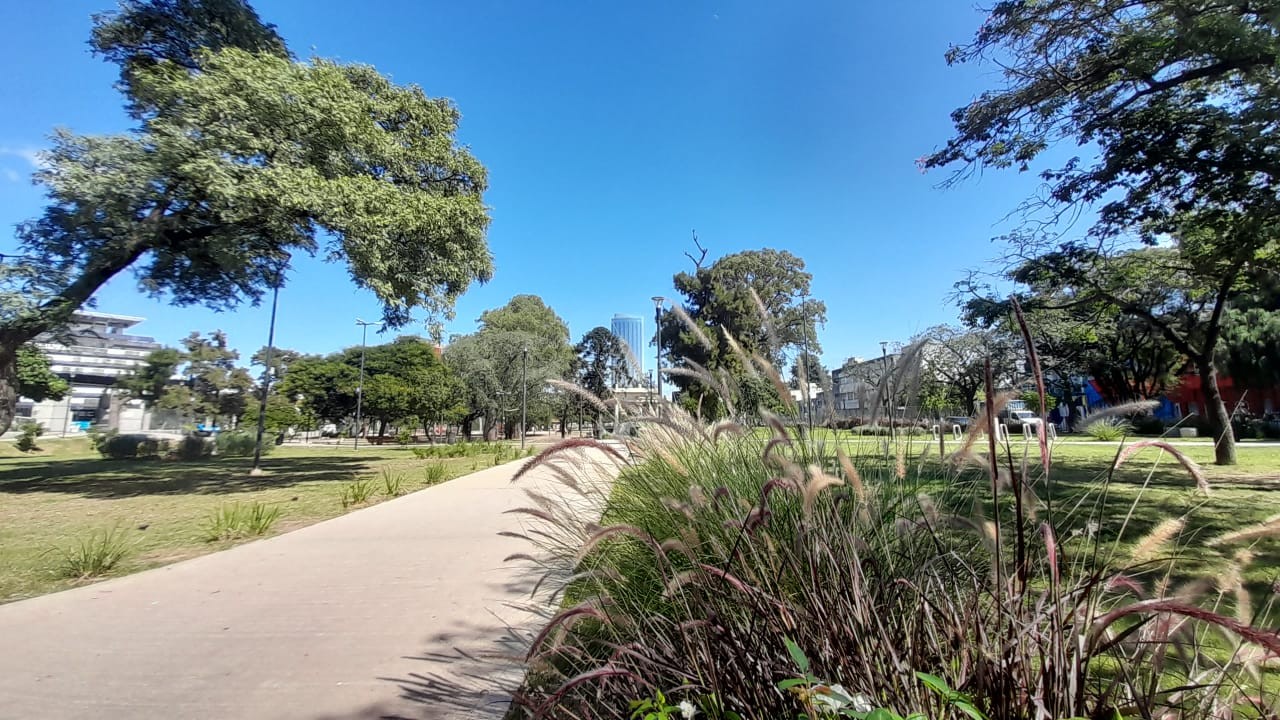 Córdoba: viernes cálido y soleado, ¿cuándo cambia el tiempo? | Córdoba
