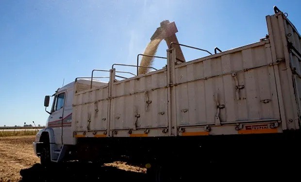 Gendarmería intercepta transporte ilegal de cereales en Córdoba | Córdoba