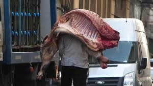 Clausura y decomiso de 1.500 kilos de carne en Córdoba por faenamiento clandestino | Córdoba