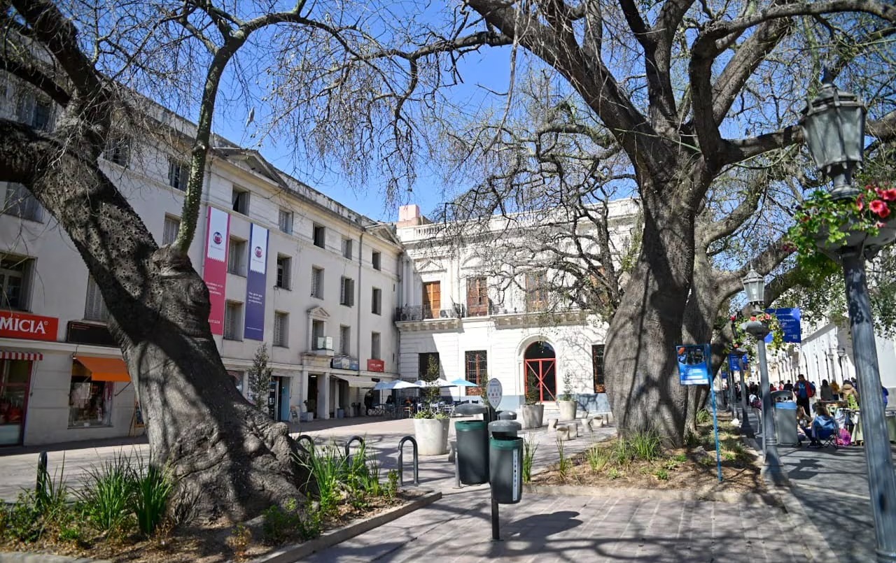 Córdoba: convocatoria a organizaciones para combatir el cambio climático | Córdoba