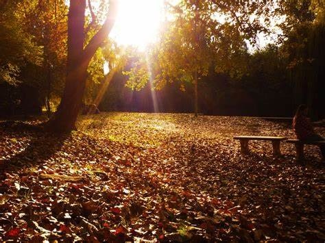 Córdoba: tiempo extendido de lo que resta del finde XL | Córdoba