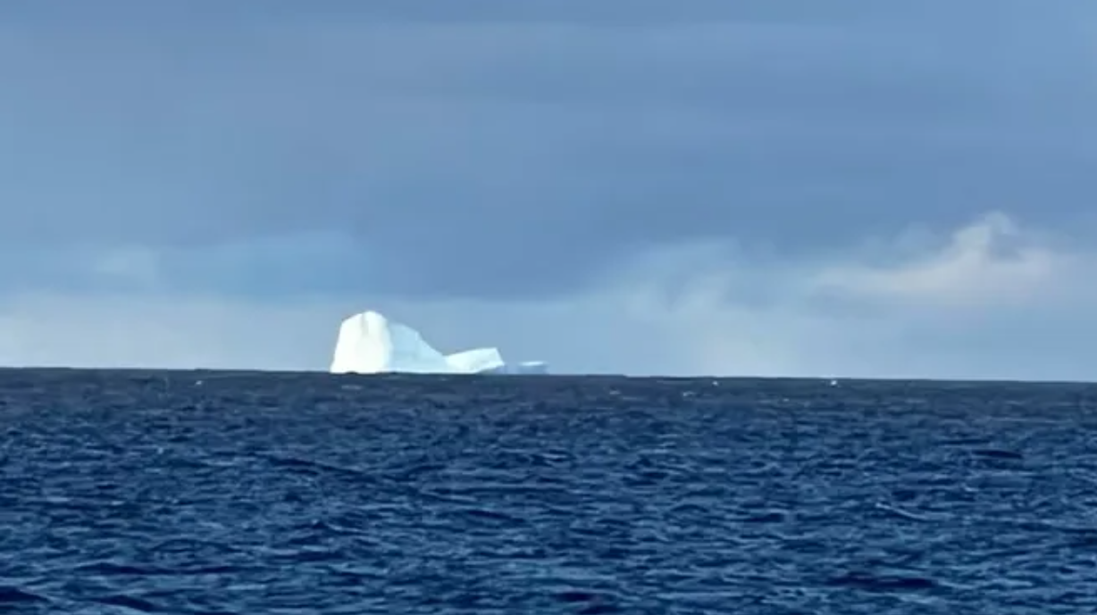 Alerta en Ushuaia por la aparición de un iceberg en la costa | Actualidad