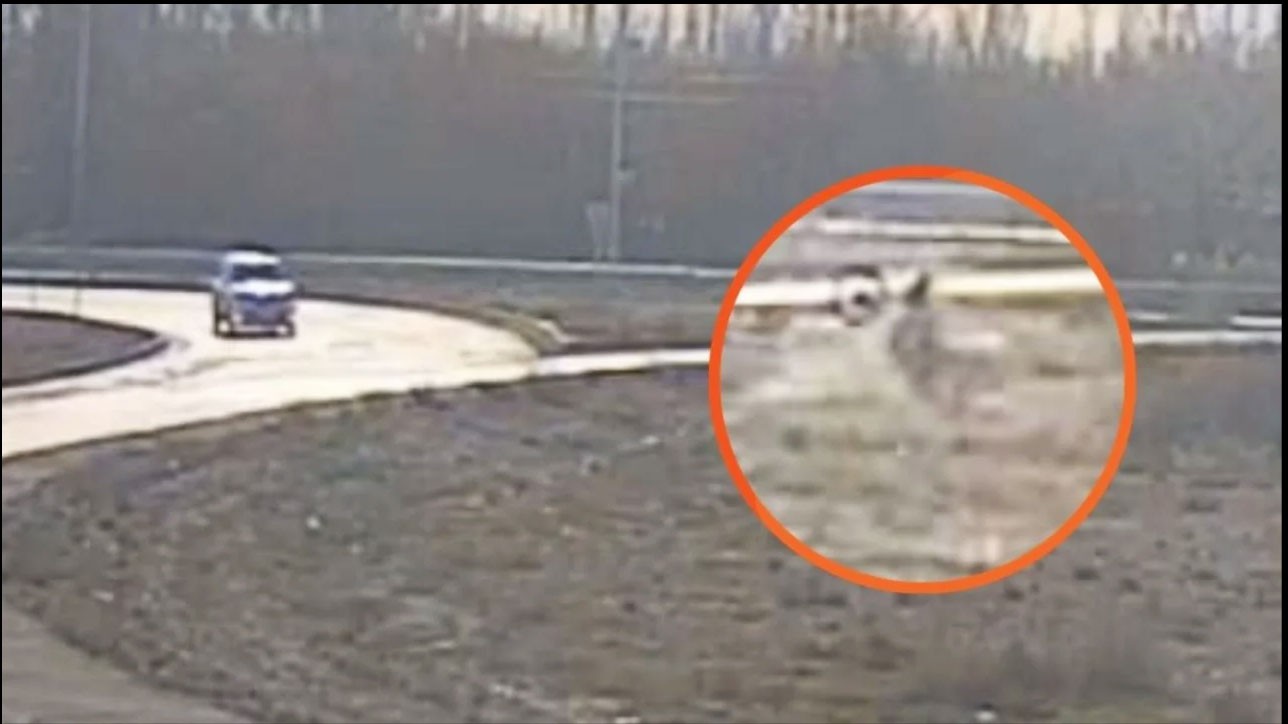 Tragedia en Neuquén: cayó con su moto a una alcantarilla, nadie lo encontró y murió | Actualidad