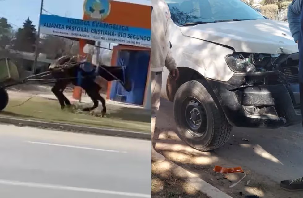 Video: un caballo desbocado revoleó al carrero y terminó chocando una camioneta | Córdoba