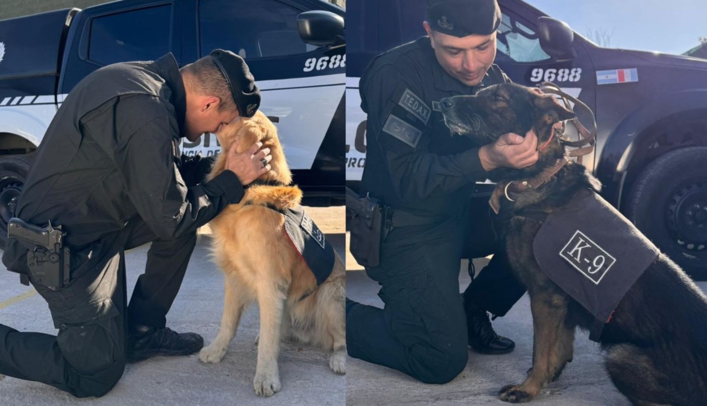 Premio a la trayectoria: Valtro y Tango, se retiran luego de un merecido reconocimiento. | Córdoba