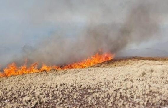 Incendio en Traslasierra: suman bomberos al combate del fuego en el Cerro Champaquí | Córdoba