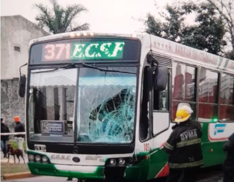 La atropelló un colectivo y murió tras agonizar 20 días: "No se hicieron cargo desde la empresa ni el chofer" | Actualidad