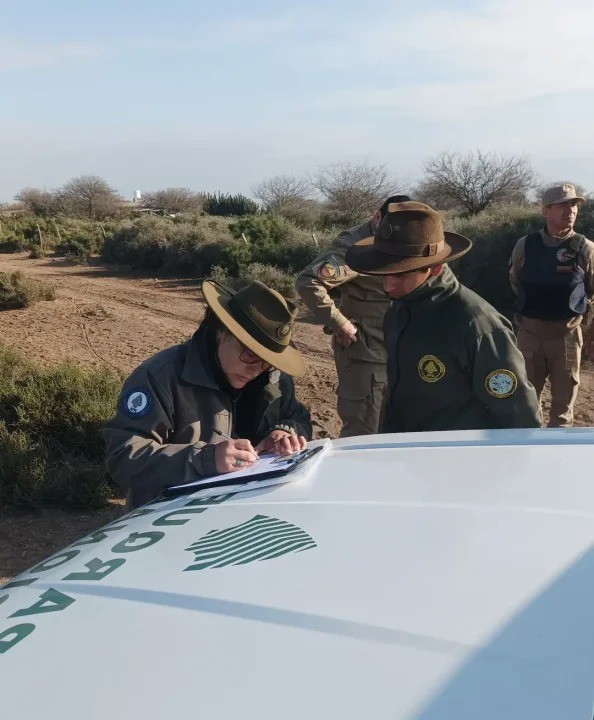 Doce personas involucradas en la caza ilegal de ñandúes en el Parque Nacional Ansenuza | Córdoba