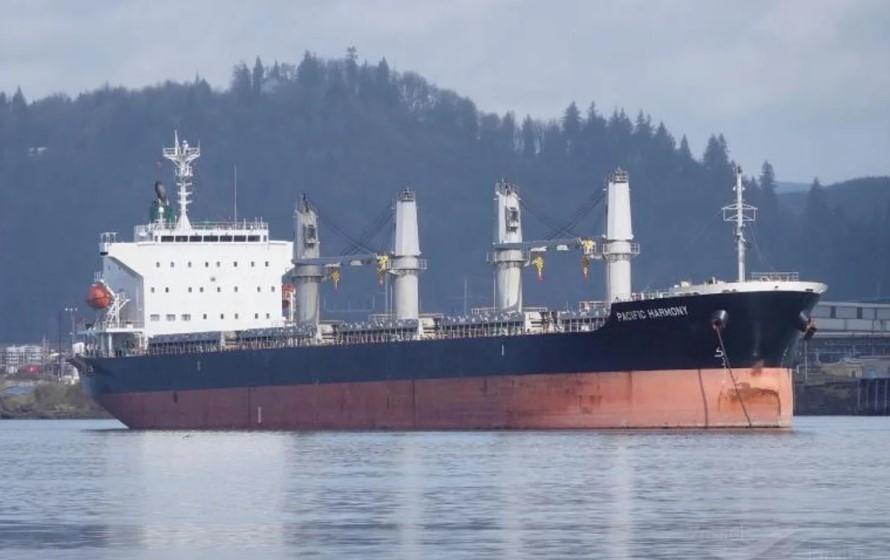 Aislaron a un buque en el Río Paraná por un posible caso de viruela del mono en la tripulación | Actualidad