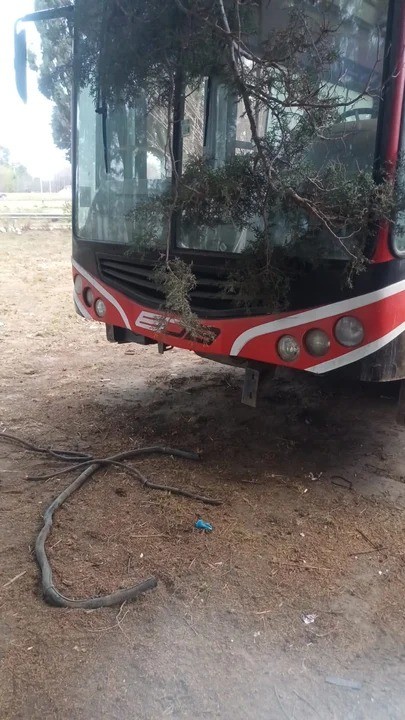 Córdoba: detuvieron a un joven que robaba cables de un colectivo | Córdoba