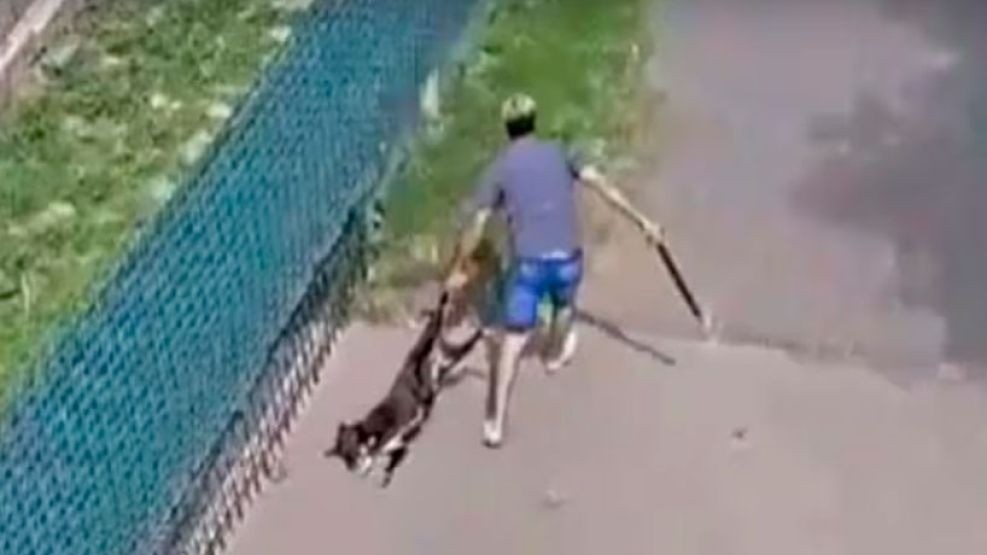 Villa Allende: habló el falso veterinario acusado de matar a un perro | Córdoba