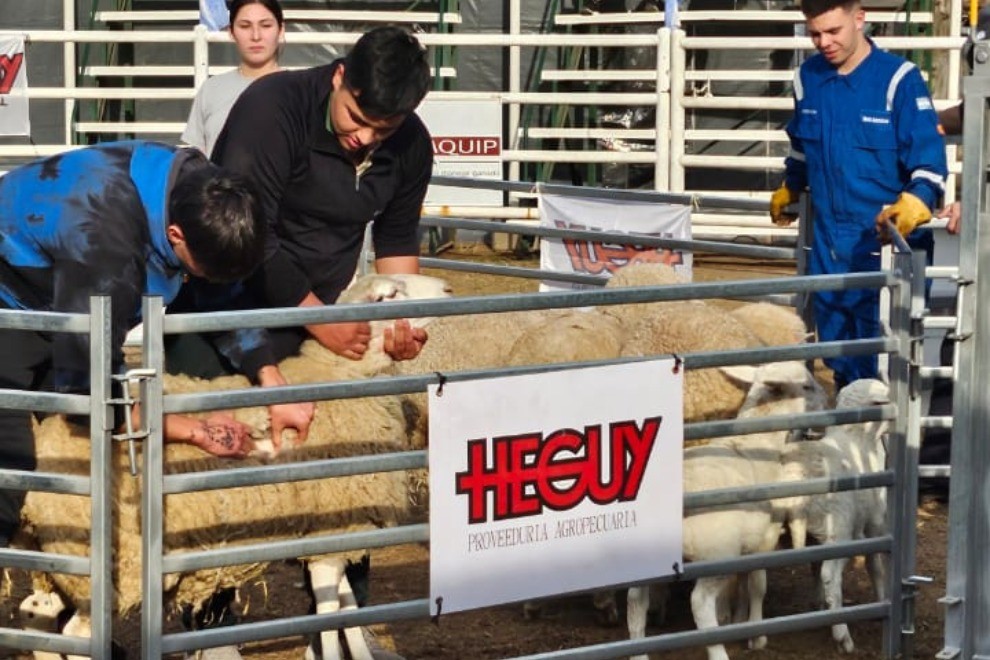 Dos escuelas cordobesas alcanzaron el podio en un certamen sobre producción ovina | Córdoba