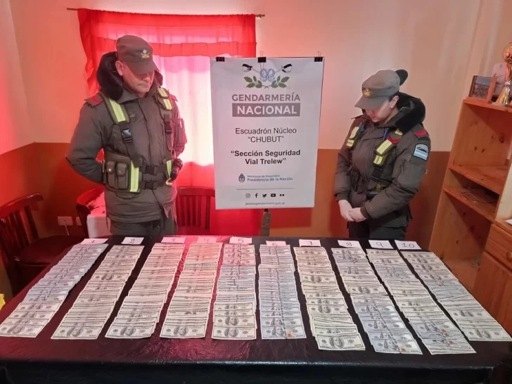 Hallazgo: encontraron 96.200 dólares en un colectivo en Chubut | Córdoba