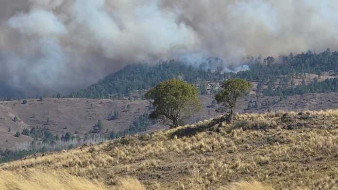 Quién es el hombre detenido por el incendio en Calamuchita | Córdoba