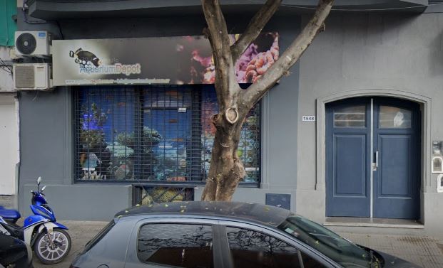 Clausuraron un local por criar y comerciar especies marinas clandestinamente | Actualidad