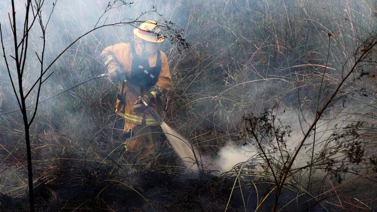 Incendios: La Calera es el único foco activo en Córdoba | Córdoba